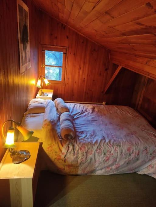 Chalet Accueillant Et Familial Saint-Martin-Vésubie Exteriör bild